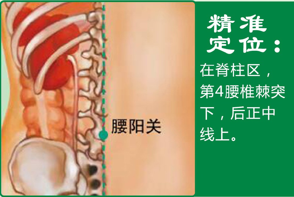 腰陽關_1.jpg