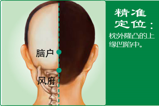 腦戶_1.jpg