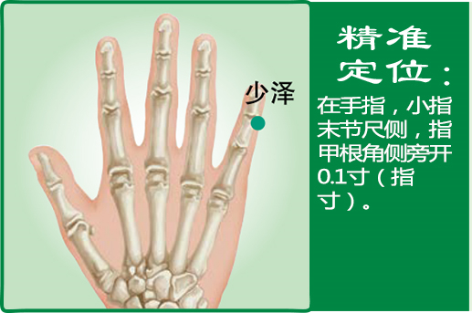少澤_1.jpg