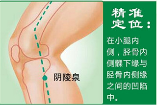 陰陵泉.jpg