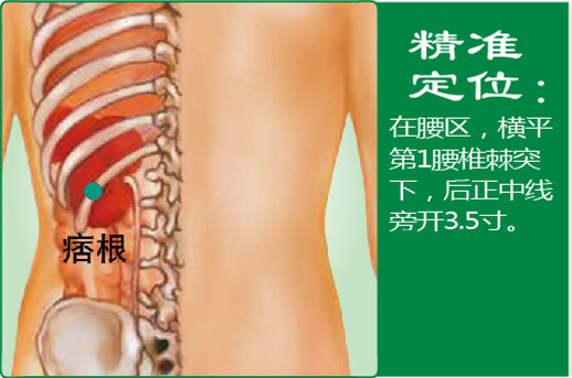 17、痞根.jpg