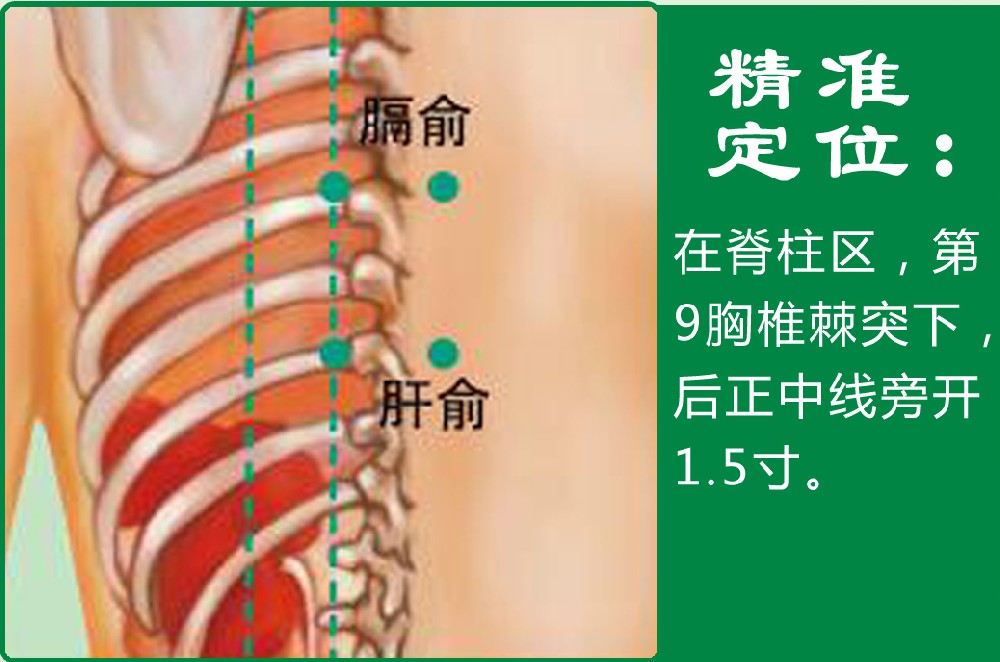 4、肝俞.jpg