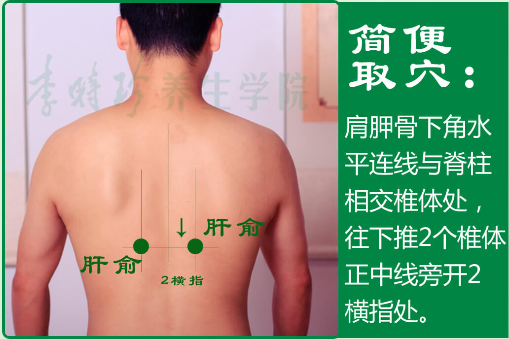 4、肝俞2.jpg